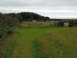 The view down the field.