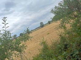 Walkers paradise, fields for miles, so beautiful