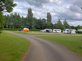 Bottom field