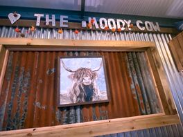 Inside the moody cow