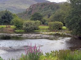 Fishing pond