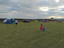 Upper field