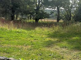 The best way to walk to the pub is through a field ❤️