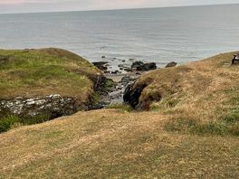 The stream