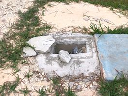 Ground