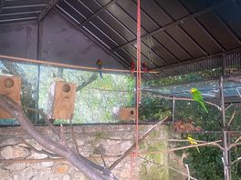 Owners aviary