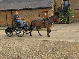 The local transport