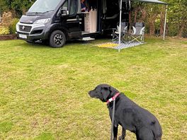Fur baby friendly and peaceful , henry loved it 🌈🐾