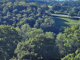 Torrent walk campsite