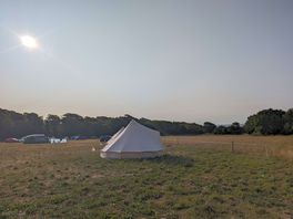 Morning on the site