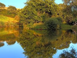 Lake view