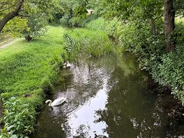 The water behind the pitch