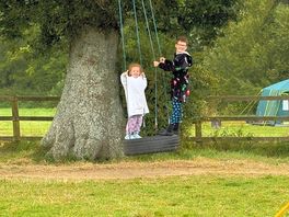 The tire swing was the clear hit with the kids!
