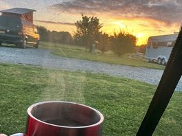 Morning view
