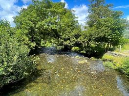 Tranquil river