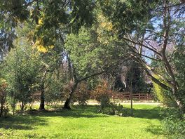 Around the site