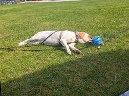 Walked just enough