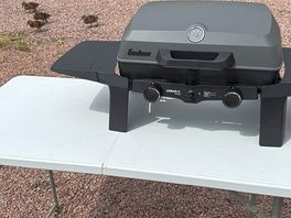 No ducks harmed in the use of the bbq.