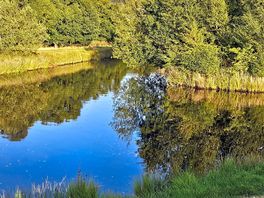 Worming lake