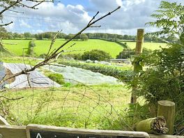 View across the fields
