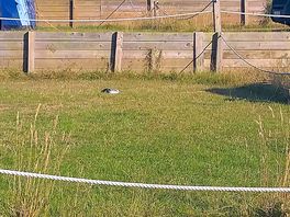 What a lovely view bag of dog poo and empty cider can