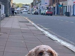 Town centre