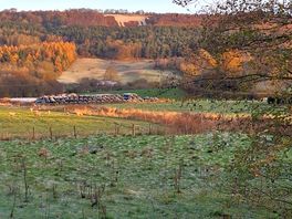 View from the site.