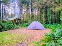 A quiet environment, perfectly arranged and well-adapted for camping