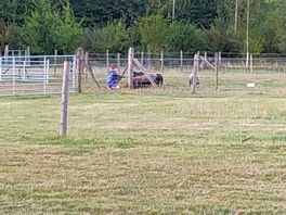 At the campsite
