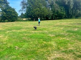A great field to stretch yours and your dogs legs