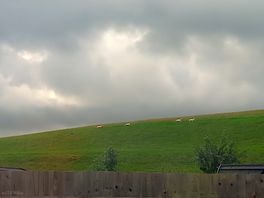 Ran rain go away