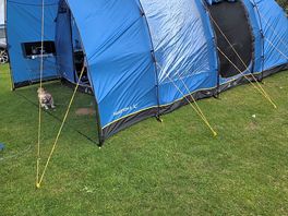 Our tent