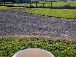 Tea with a view