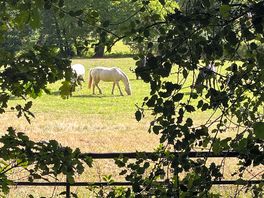 Beautiful countryside