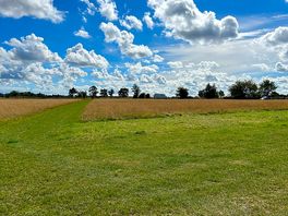 View from top field
