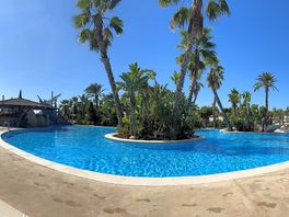 Poolside