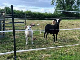 Had a interesting chat with the locals