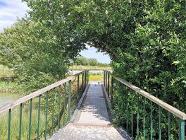 Footpath