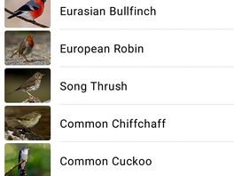 I used the merlin app and it identified all these birds in less than 3 minutes