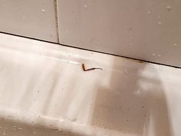 The place we wash the dishes