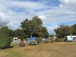 Grass pitches