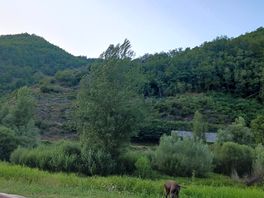 View from our pitch, river loire. beautiful!