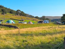 Happy campers
