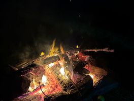 Fire