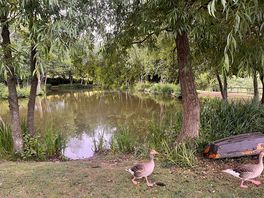 Another lake