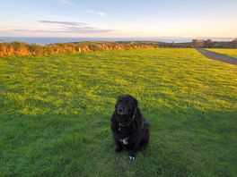 Very spacious pitches with sea views