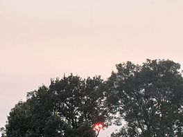 Blue moon