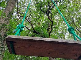 Swing over the woodlands