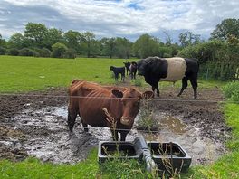 Friendly local residents