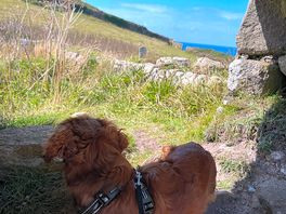 Cape cornwall